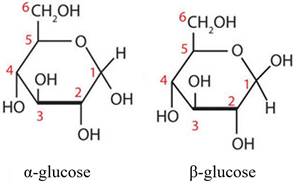 A few chemical formulas

Description automatically generated with medium confidence